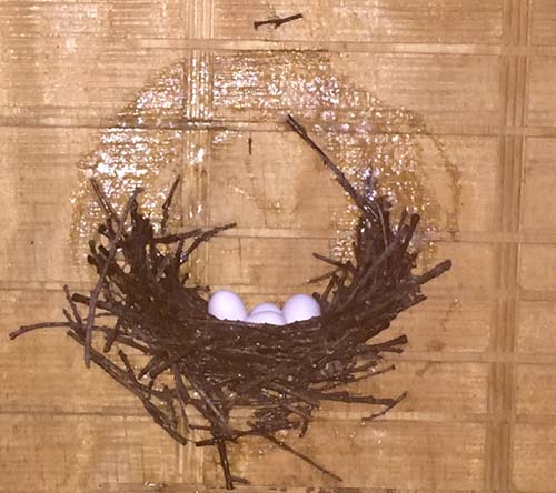 chimney swift eggs in nest